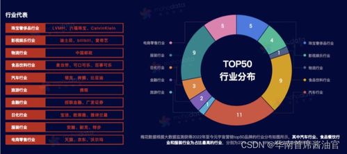 元宇宙營銷新紀元 策略、玩法與軟硬件開發(fā)實戰(zhàn)